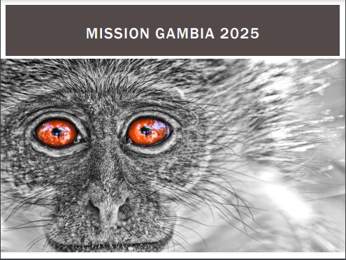 Gambia Fundaising